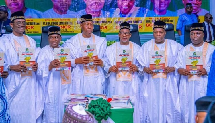 Appointment: North East Governors' Forum Appoints Gulani as DG