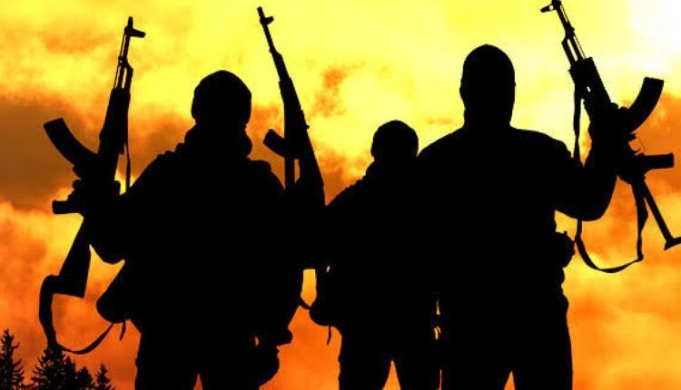 Police escort ‘accidentally shoots’ Taraba governor’s sister during gunmen attack