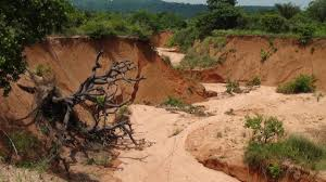 Yobe State Creates Council to Tackle Erosion, Climate Change