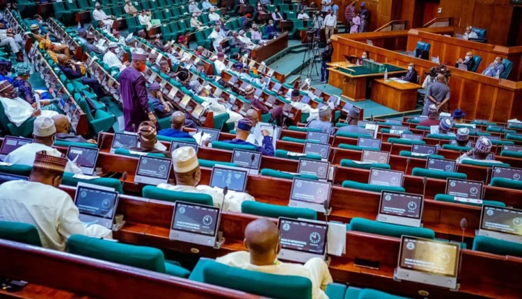 House of Reps ready to pass 2025 budget – deputy spokesman
