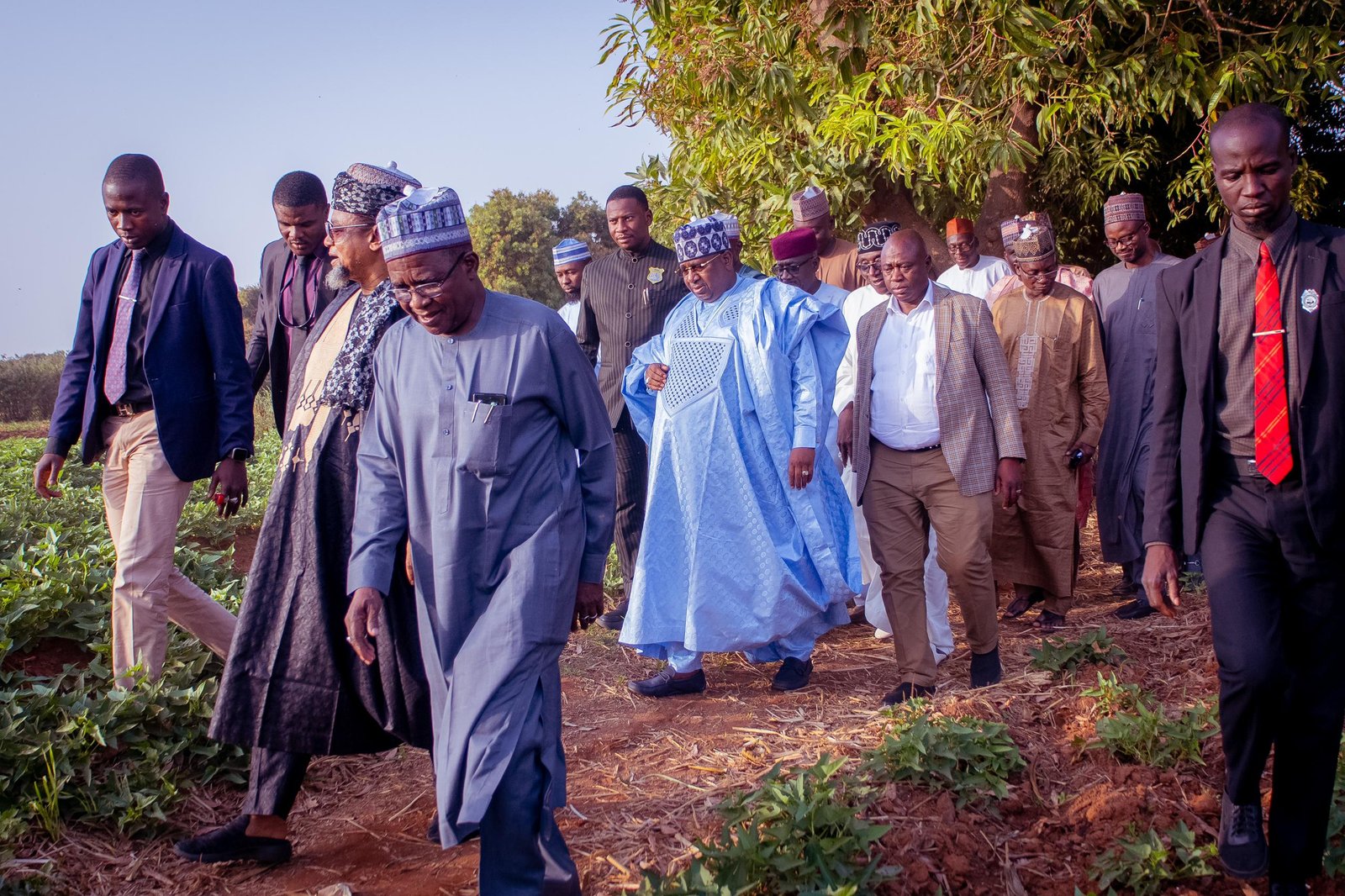 Gov Idris visits Cassava farms in Gulumbe, emphasizes Food Security 