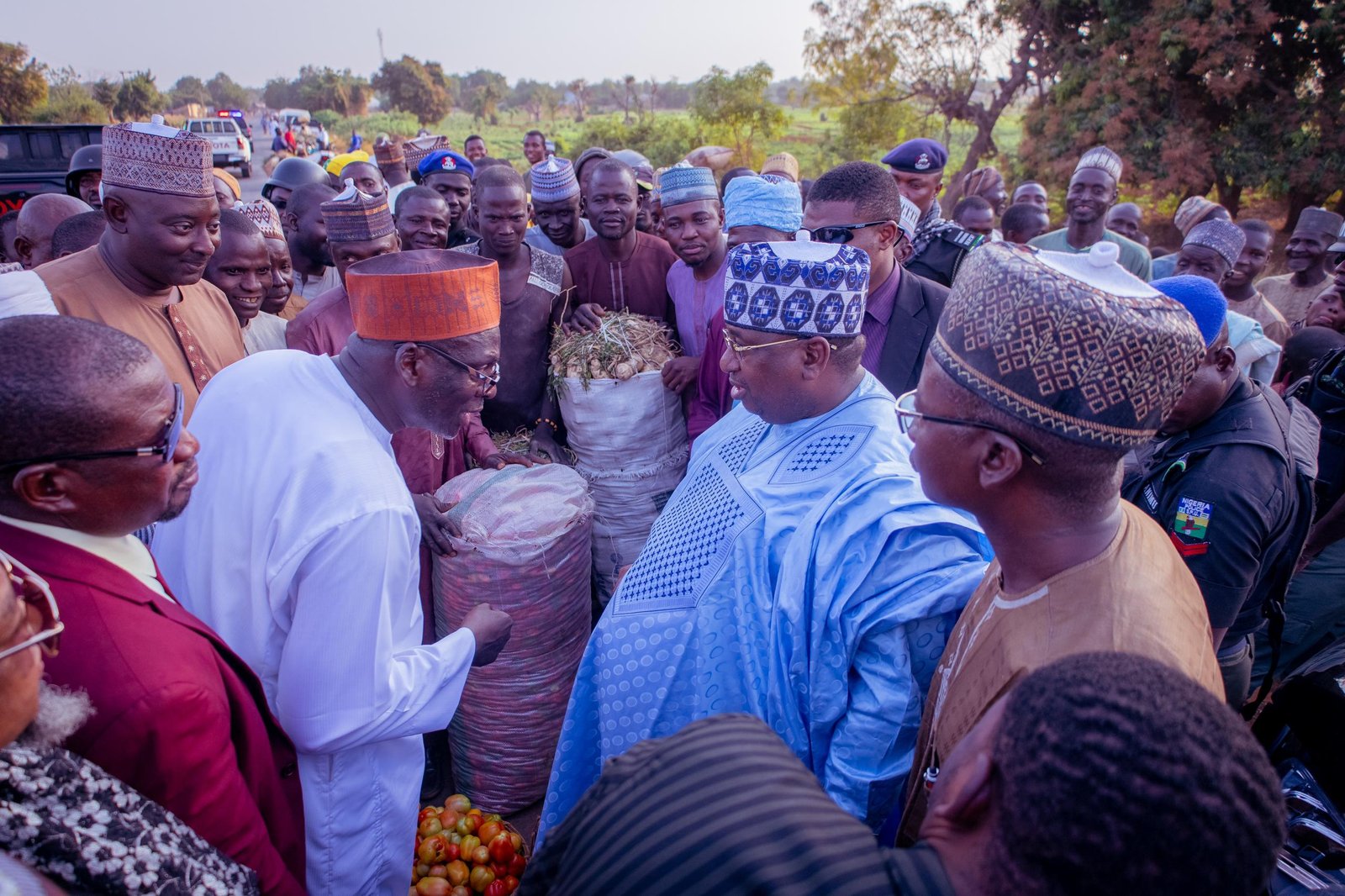 Gov Idris visits Cassava farms in Gulumbe, emphasizes Food Security 