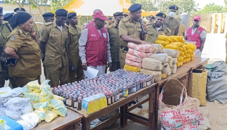 NDLEA seizes 537kg drugs, nabs 46 in Yobe