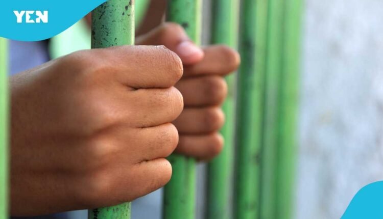 Student jailed 6 months for stealing household items