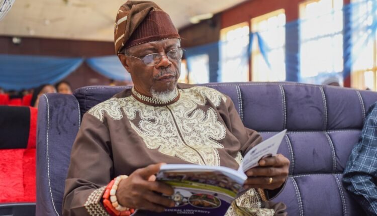 Why govt should boost, not downgrade TETFund funding – Falola