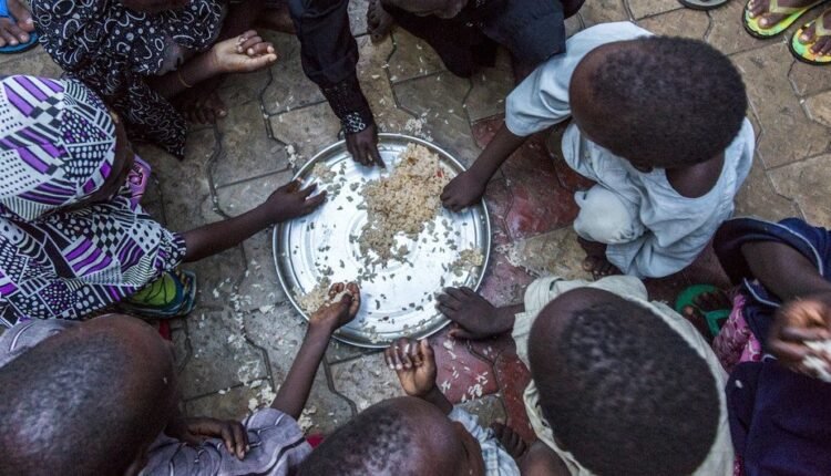 AfDB, WFP support Nigeria to tackle acute hunger in Northeast