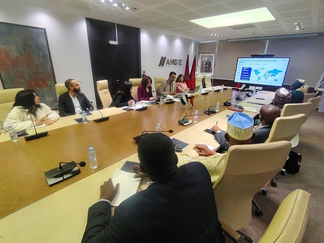 Tourism: Morocco to invest in conservation of Yobe’s 8,000-year-old canoe