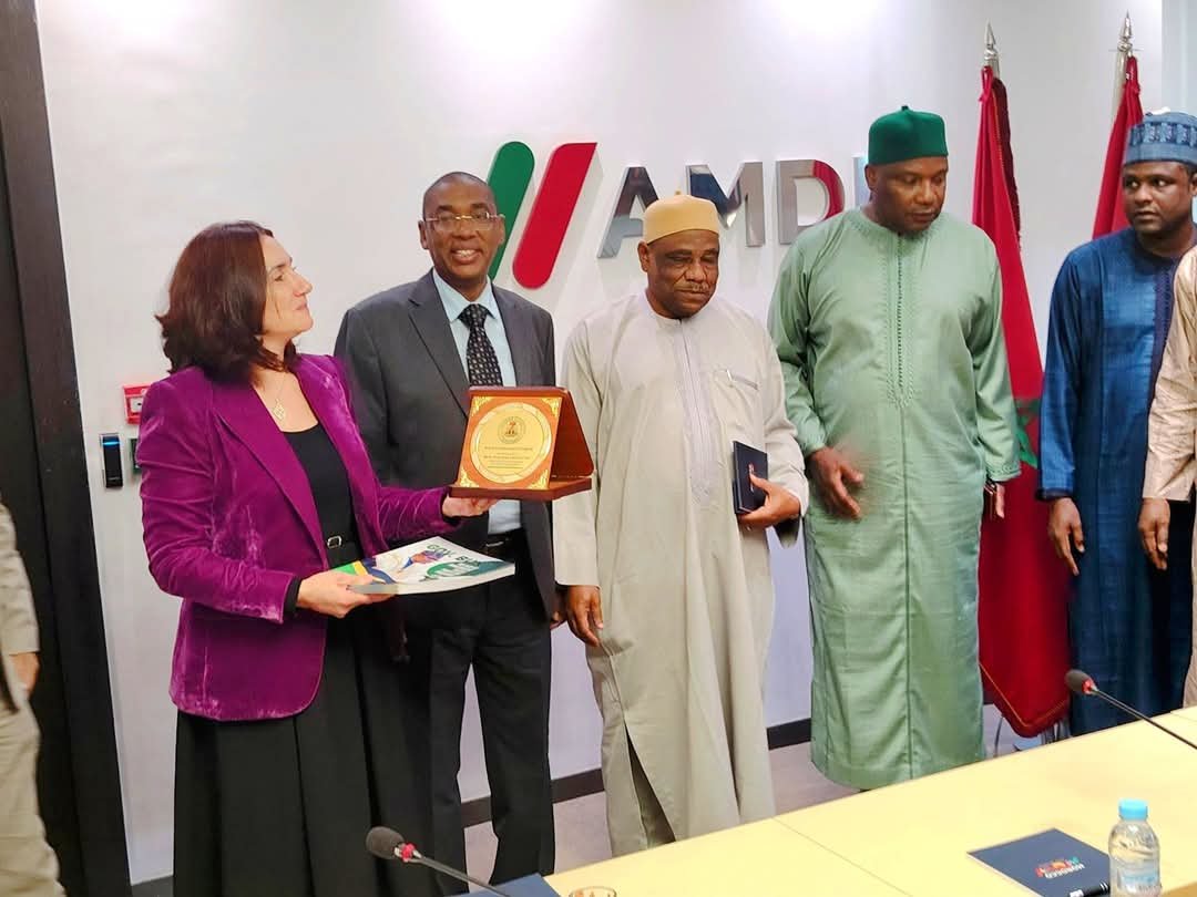 Tourism: Morocco to invest in conservation of Yobe’s 8,000-year-old canoe