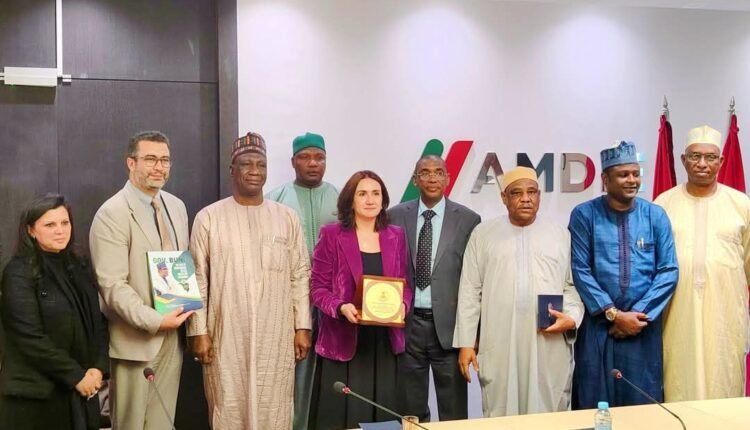 Tourism: Morocco to invest in conservation of Yobe’s 8,000-year-old canoe