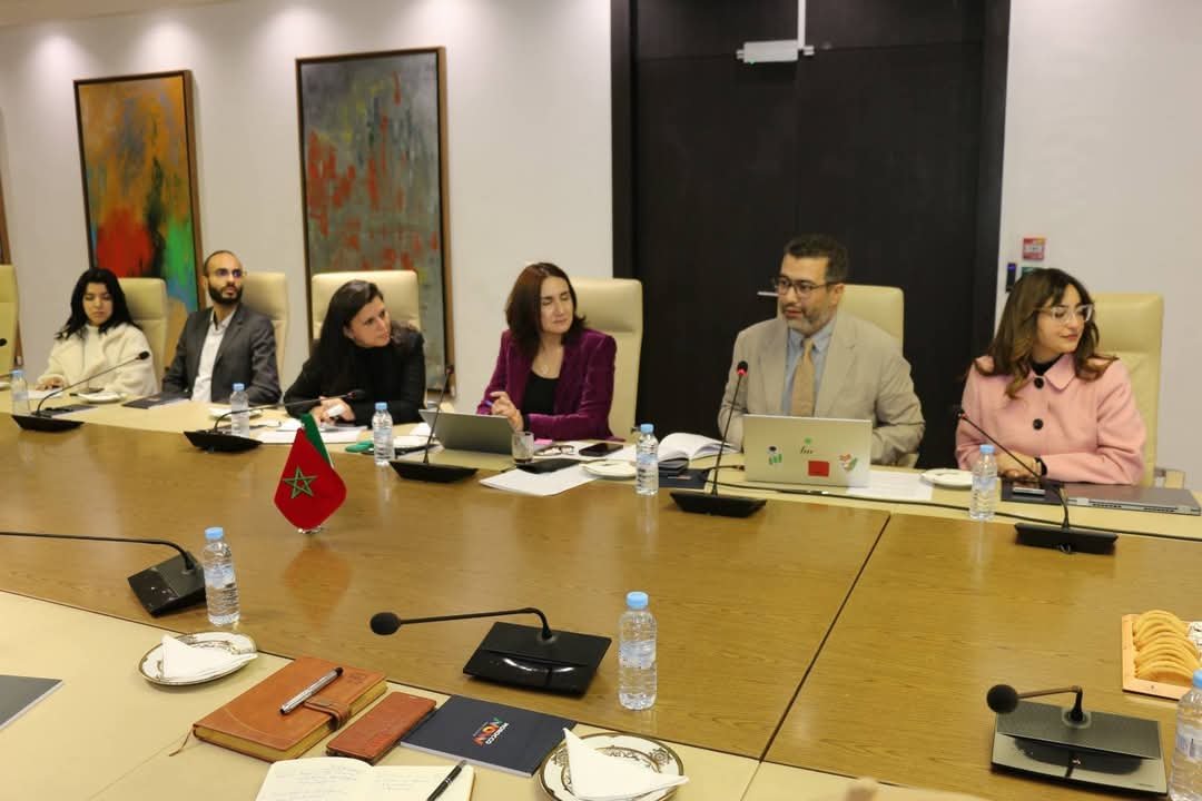 "Morocco Considers Agricultural Investment in Yobe: A Bright Future for Onion Farmers"