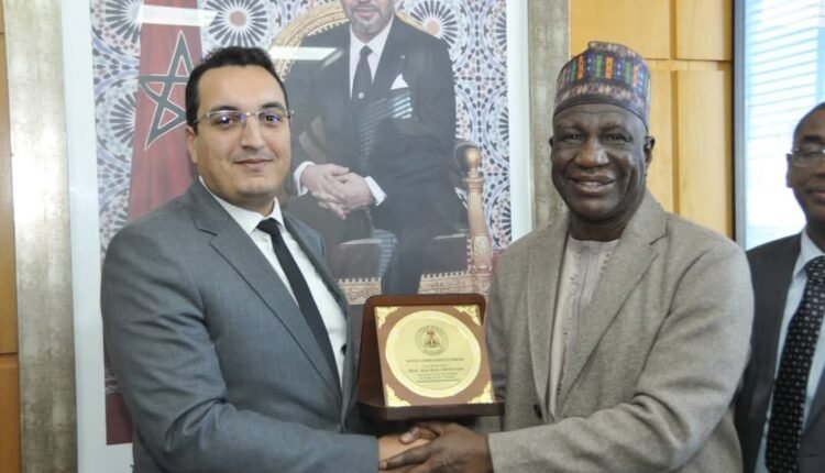 "Morocco Considers Agricultural Investment in Yobe: A Bright Future for Onion Farmers"