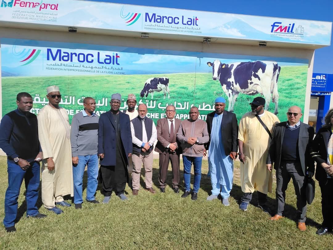 Yobe Ministry of Livestock To Adopt Moroccan Technology