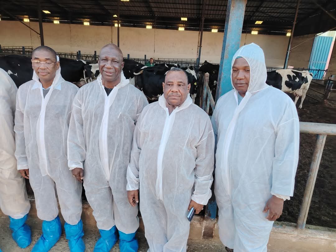 Yobe Ministry of Livestock To Adopt Moroccan Technology