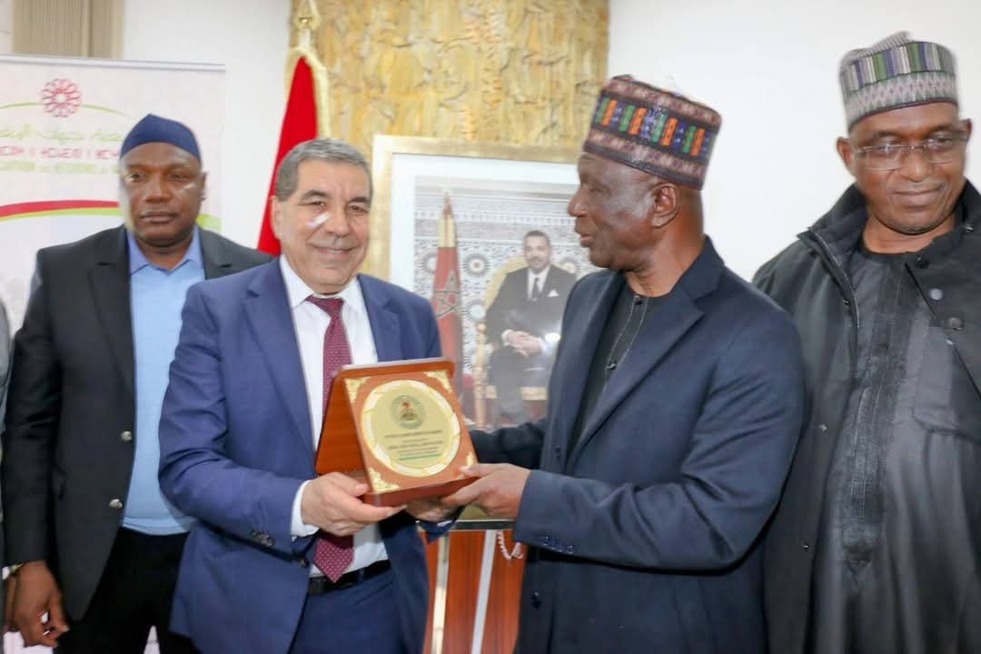 Yobe Sesame Seeds and Gum Arabic: A New Trend in Morocco