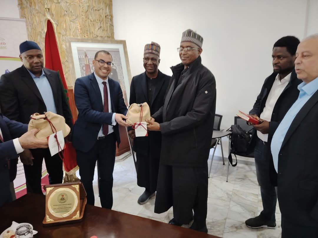 Yobe Sesame Seeds and Gum Arabic: A New Trend in Morocco