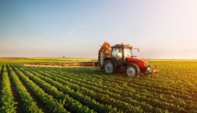 Food Security: FG restates commitment to enhance rural access  agricultural marketing 