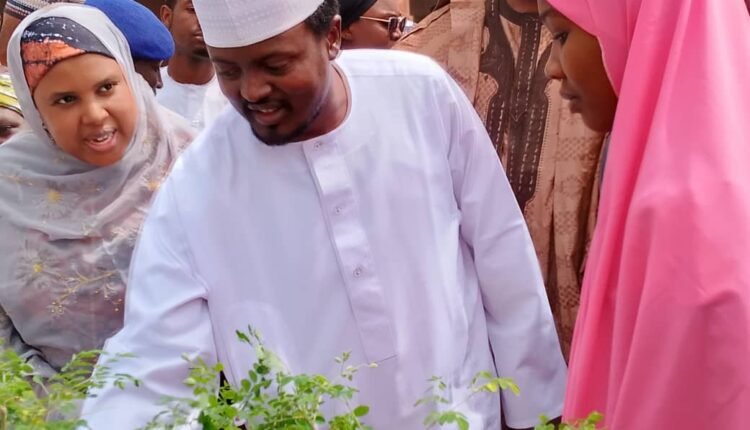 Moringa Farming: 3.6 million women targeted in Katsina Moringa Farming: 3.6 million women targeted in Katsina
