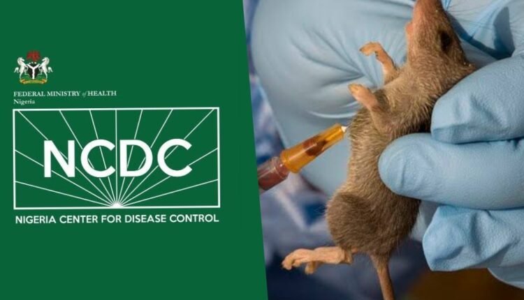 NCDC reports 80 deaths from Lassa fever in 11 states