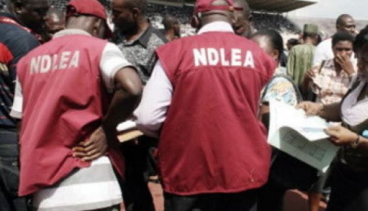 NDLEA arrests 251 suspects for drug-related crimes in Benue