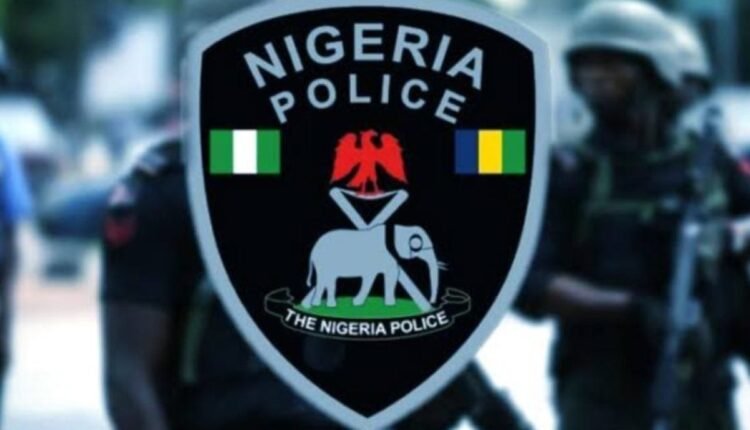 Police establish joint security force against sit-at-home in Anambra