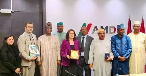 Morocco to invest in conservation of Yobe’s 8,000-year-old canoe