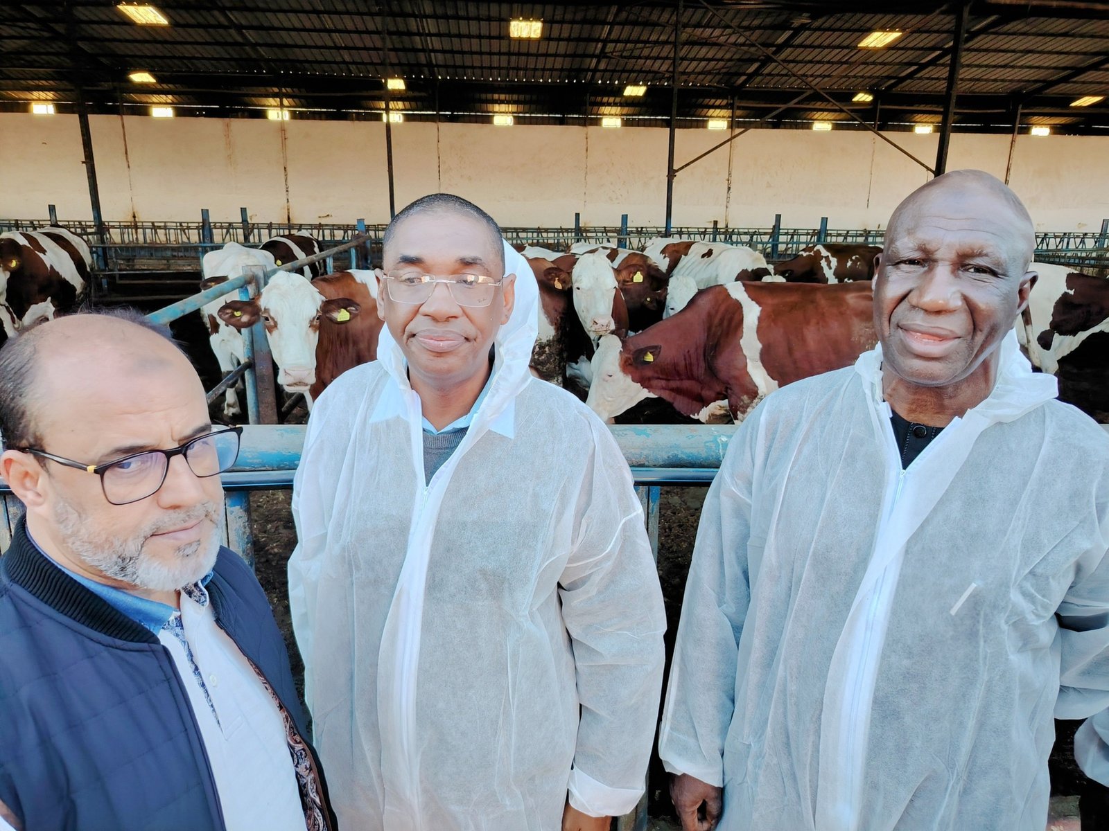 Yobe Ministry of Livestock To Adopt Moroccan Technology