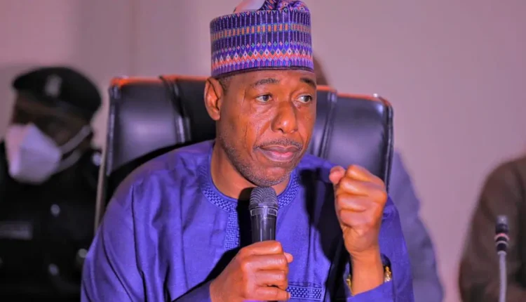 Zulum pledges support for smooth 2025 Hajj