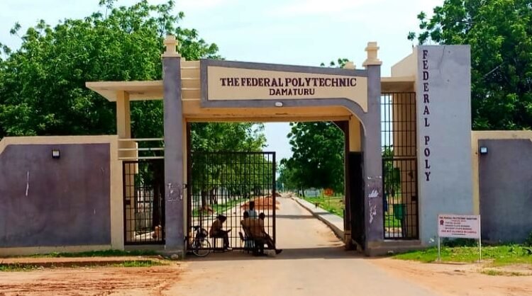 Damaturu Poly: Rector orders contractors back to project sites