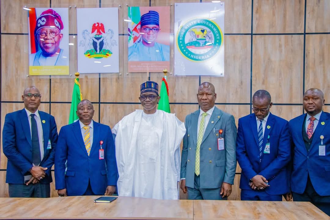 Yobe Governor Emphasizes Institutional Strength in Combating Corruption