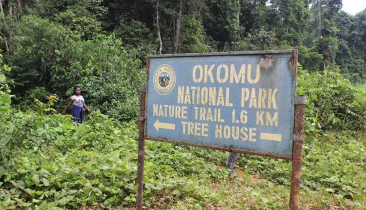 Partnership: We ‘ve recorded drop in illegal logging, poaching –Okomu Park Conservator