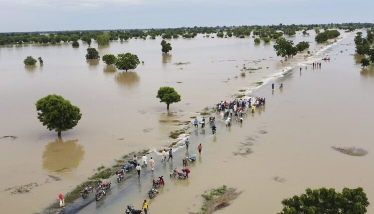 Environmental expert outlines causes, measures to mitigate flood in Yobe 
