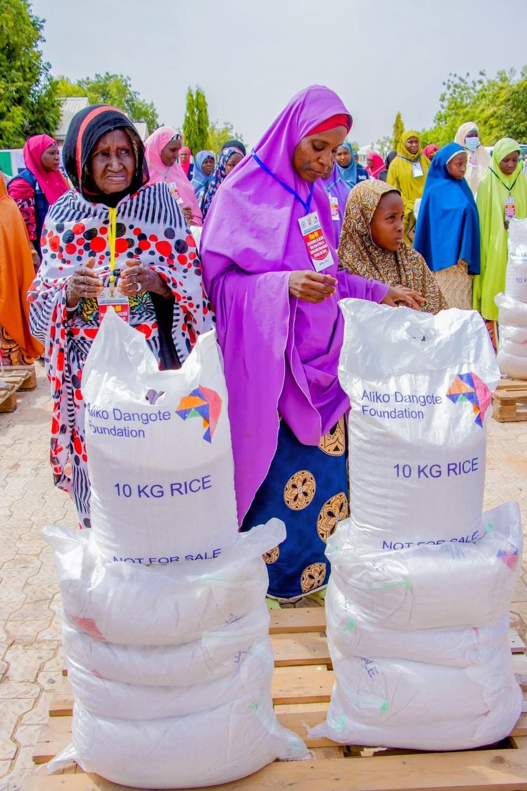 Yobe State Government Encourages Agricultural Investment for 2025 Cropping Season: Assures Government Support