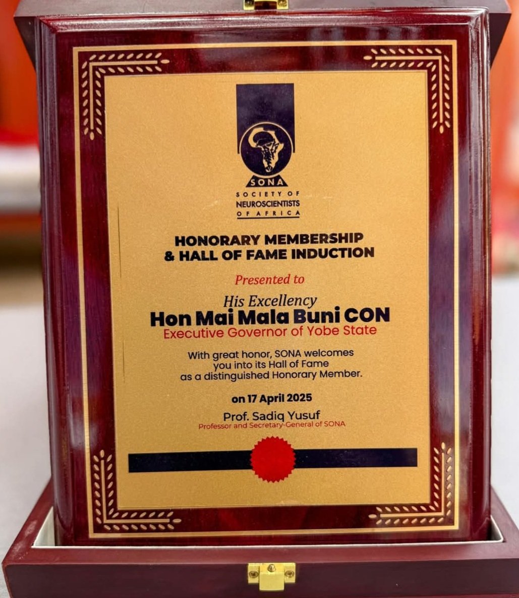 Yobe State Governor Buni's Investments Fuel a Bright Future