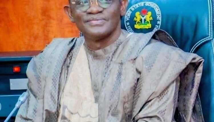 Yobe State Governor Buni's Investments Fuel a Bright Future