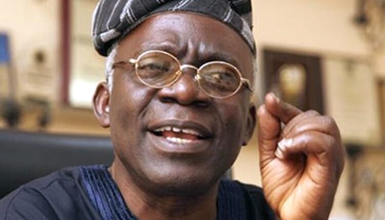  Falana urges youths to reclaim Nigeria