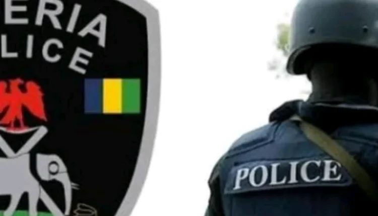 Police in Adamawa commemorate national day with medical outreach