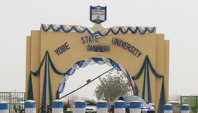 Yobe State Varsity Matriculates 2,495 Students