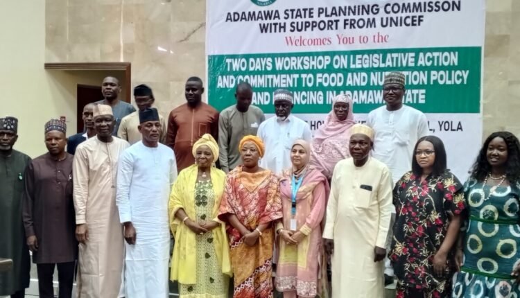 Adamawa, UNICEF, Assembly call for more budget for nutrition, PHC