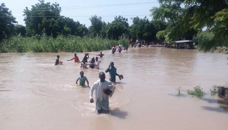 Bauchi, Gombe, Jigawa scale up flood mitigation campaign