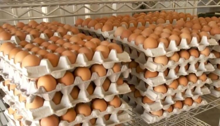 Eggs: Poultry farmers lament low patronage on reduced purchasing power