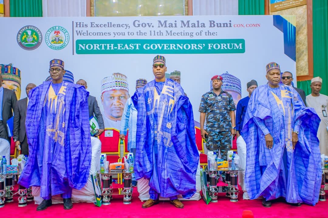 Resurgence of insecurity disturbing – Buni