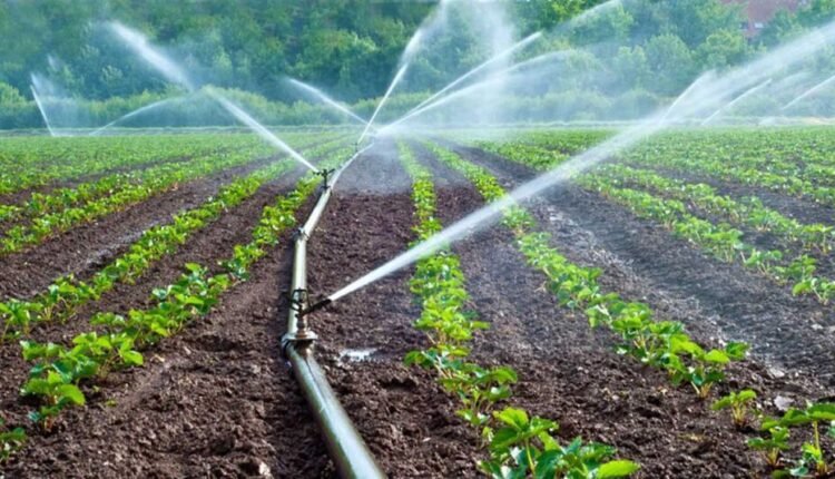 FG targets irrigation to boost food security