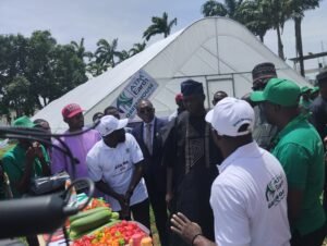 FG unveils S2W training in Lagos for youth empowerment