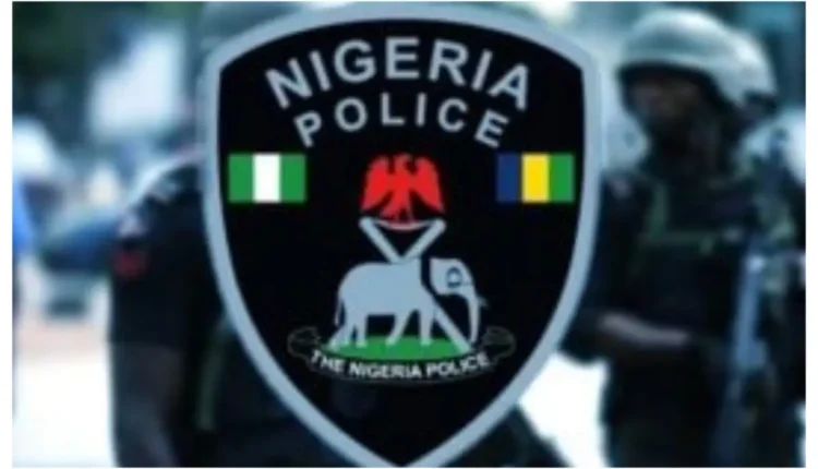 Police detain 21-year-old, accomplices over staged kidnap, recover N2m ransom