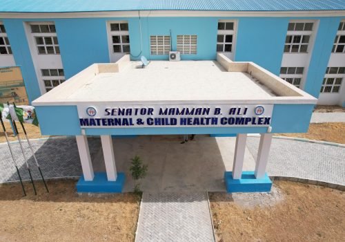 Yobe State's Healthcare Transformation Under Governor Mai Mala Buni: A Legacy of Access, Affordability, and Innovation