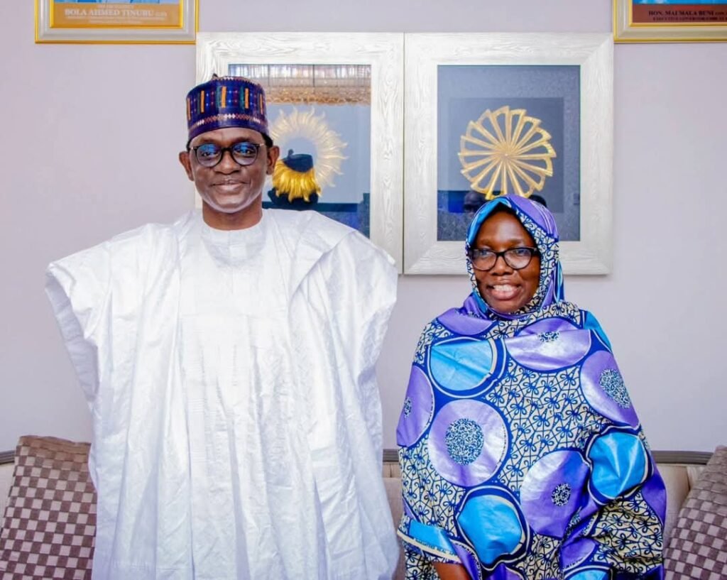 Yobe Ready For Partnership With IOM-Gov. Buni