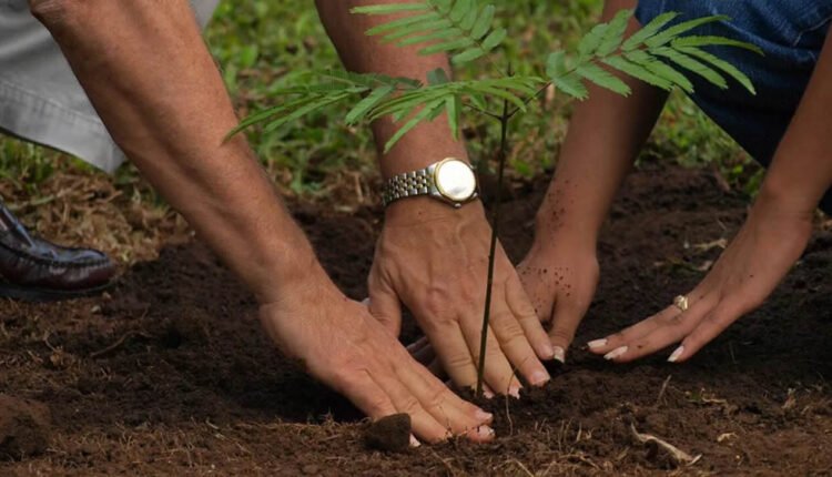 Foundation plants 500 trees in Ebonyi to tackle climate change