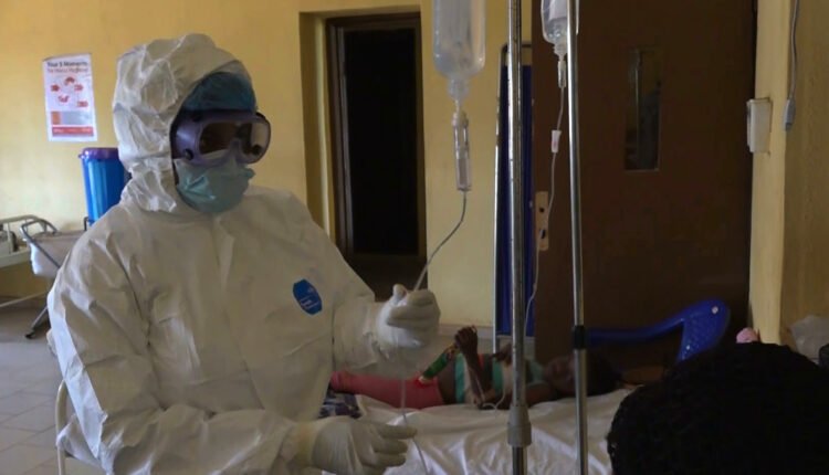 Lassa fever: Vaccine produced by Nigerian shows high potency -virologist