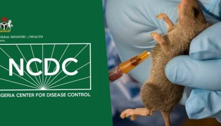 Lassa fever surge: Nigeria report rising deaths despite national response efforts
