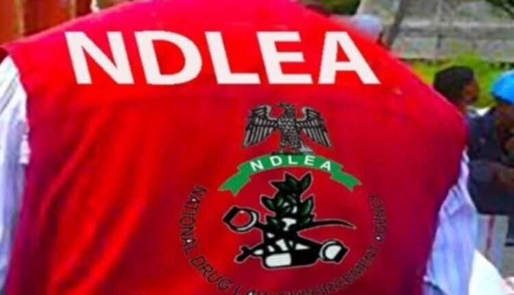 NDLEA establishes drug rehabilitation centre in Yobe